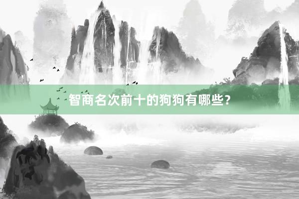 智商名次前十的狗狗有哪些？